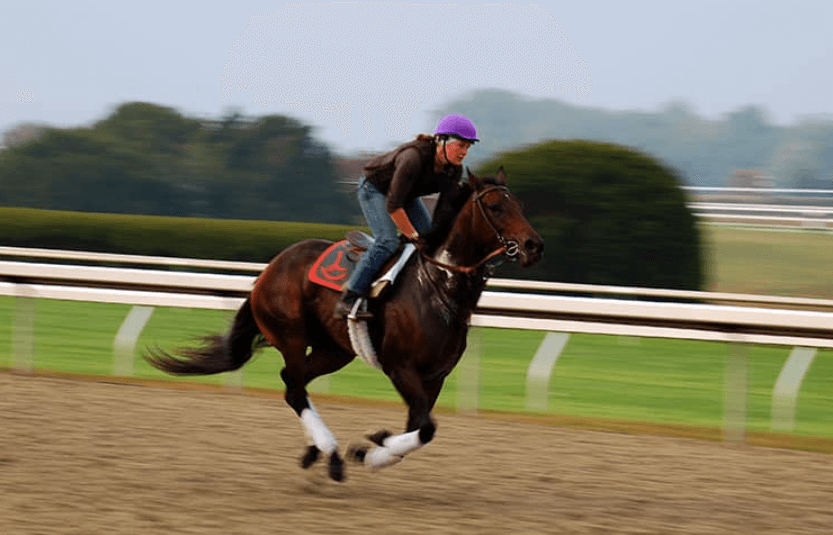 Horse Racing: How Horses Are Trained for Big Races