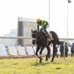 Horse Racing: How It Has Evolved Through the Years