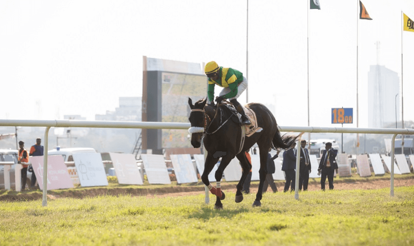 Horse Racing: How It Has Evolved Through the Years