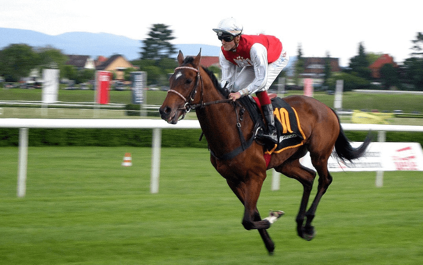 Horse Racing: How Jockeys Stay Focused During Races