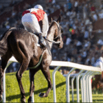 Horse Racing: How the Sport Has Evolved Over the Years
