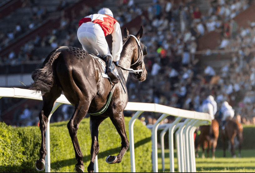 Horse Racing: How the Sport Has Evolved Over the Years