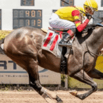 Horse Racing: How to Become a Successful Jockey