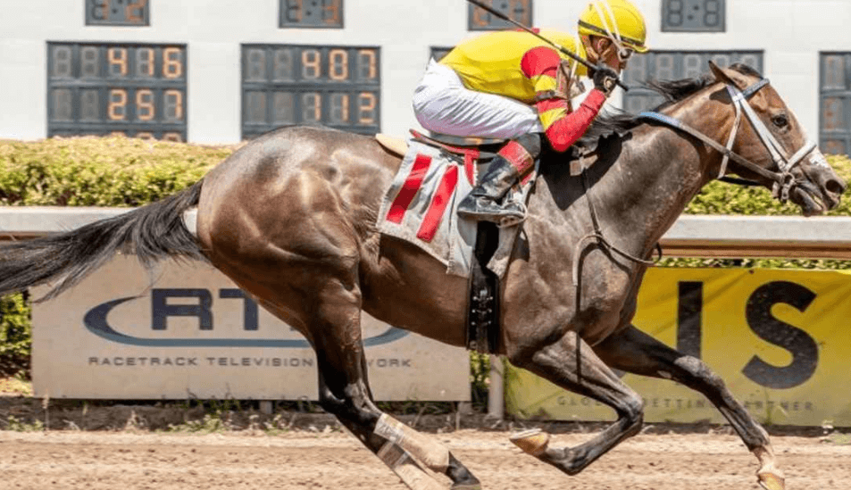 Horse Racing: How to Become a Successful Jockey